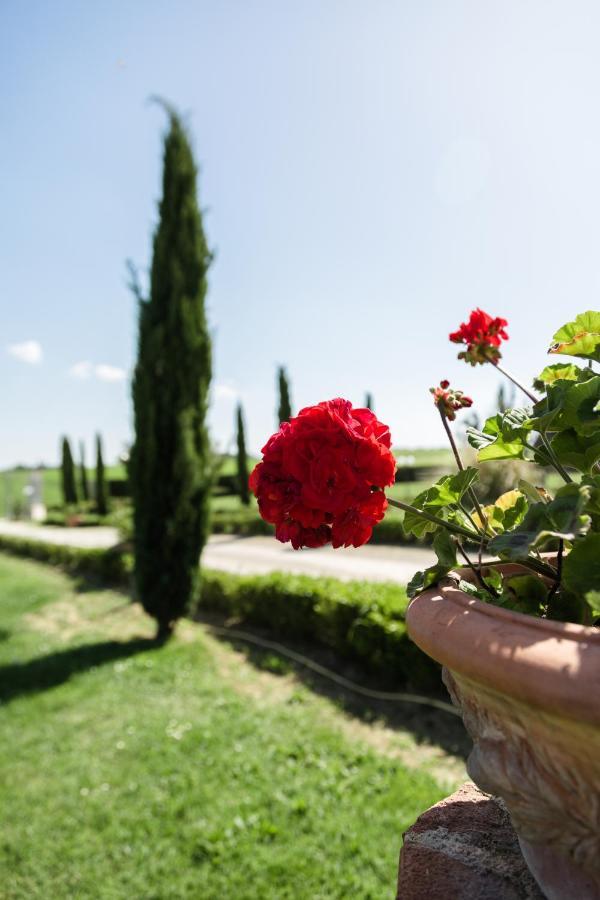 Podere San Giuseppe Castiglione del Lago Ngoại thất bức ảnh
