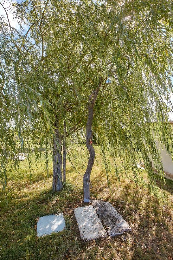 Podere San Giuseppe Castiglione del Lago Ngoại thất bức ảnh
